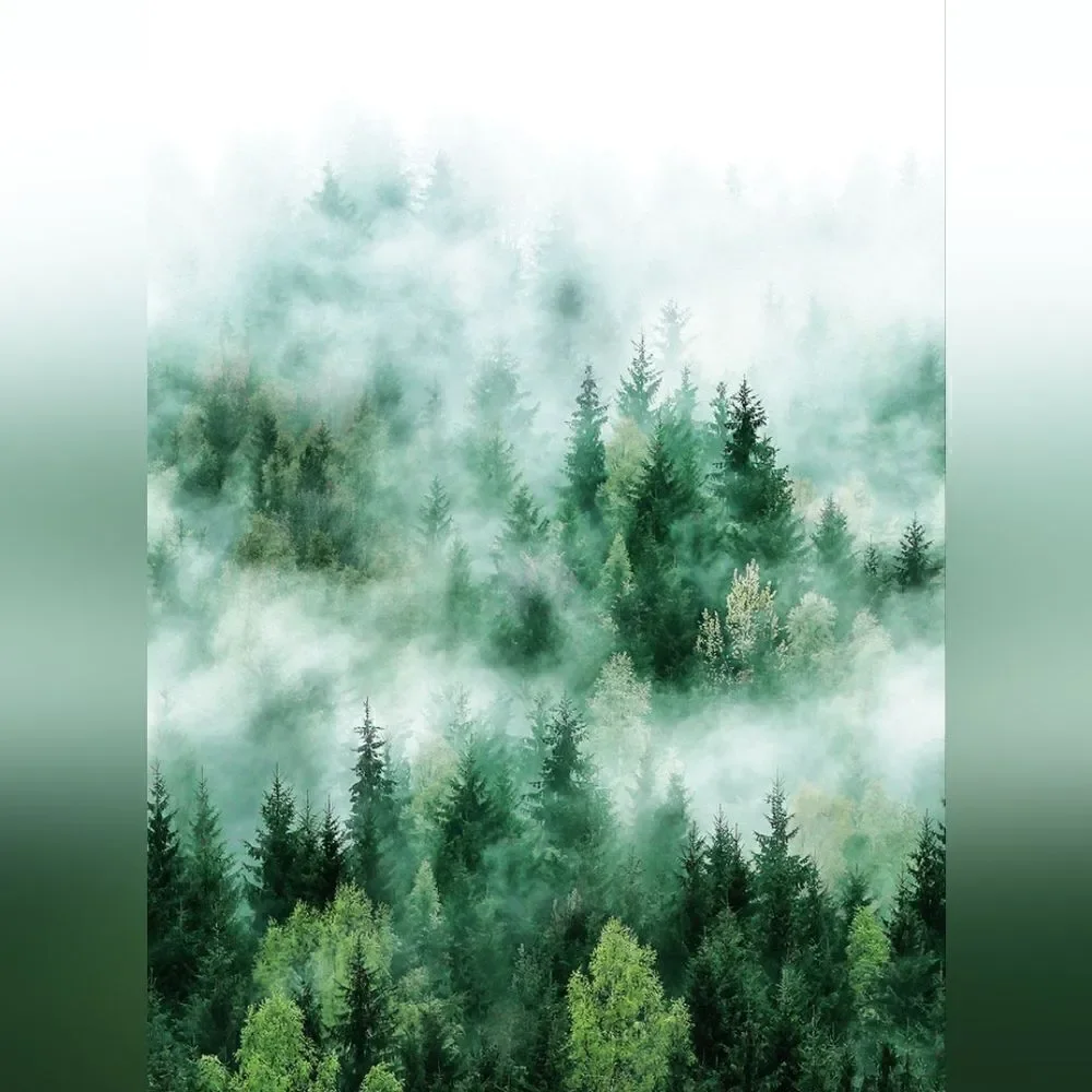 Smart Art Easy - Misty Forest Trees Green Wallpaper 2 Rolls RV $318